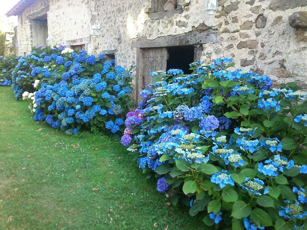 Le Domaine De Panissac Berneuil (Limousin) Exterior photo